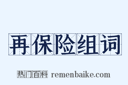 再保险组词是什么意思的图片